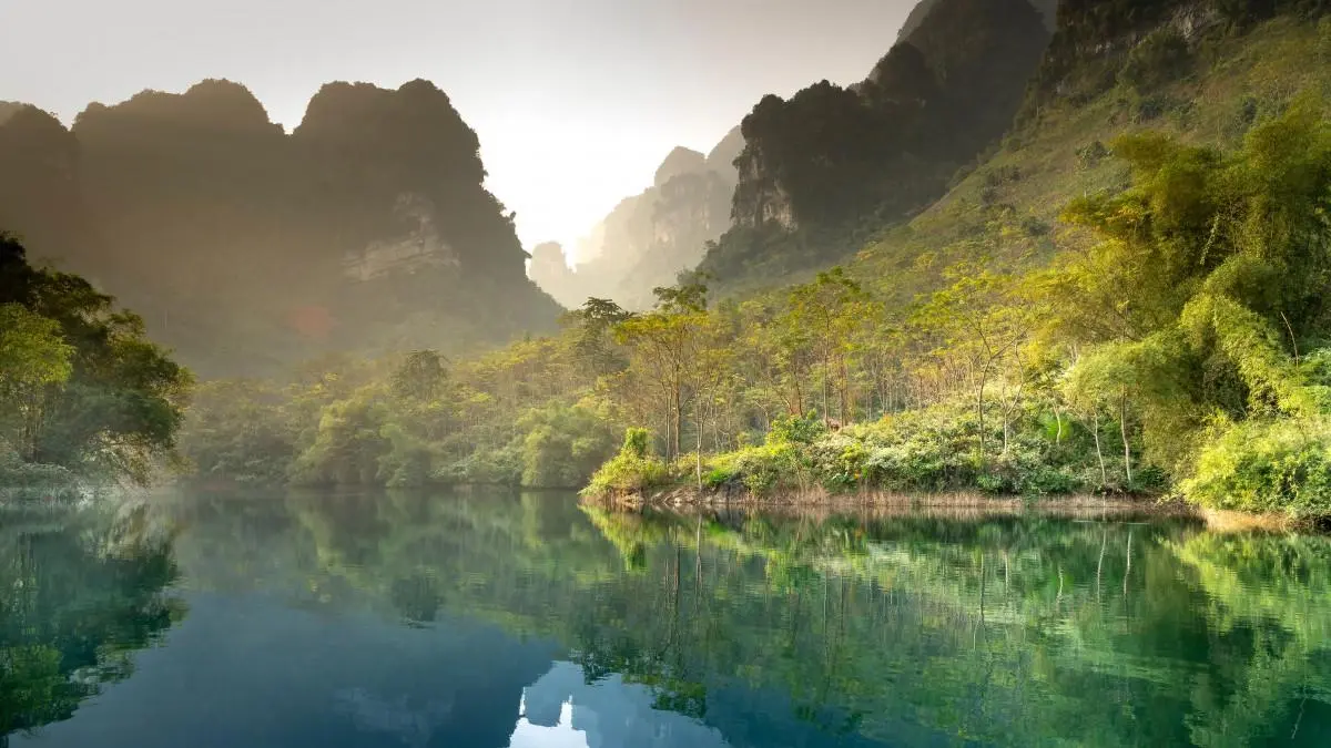 高端环保科技